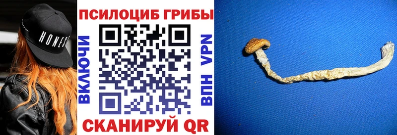 даркнет сайт  Славянск-на-Кубани  Галлюциногенные грибы Magic Shrooms 